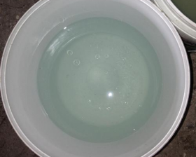 91香蕉视频在线观看